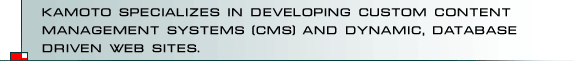 Custom Content Management Systems and Dynamic, Database Driven Web Sites